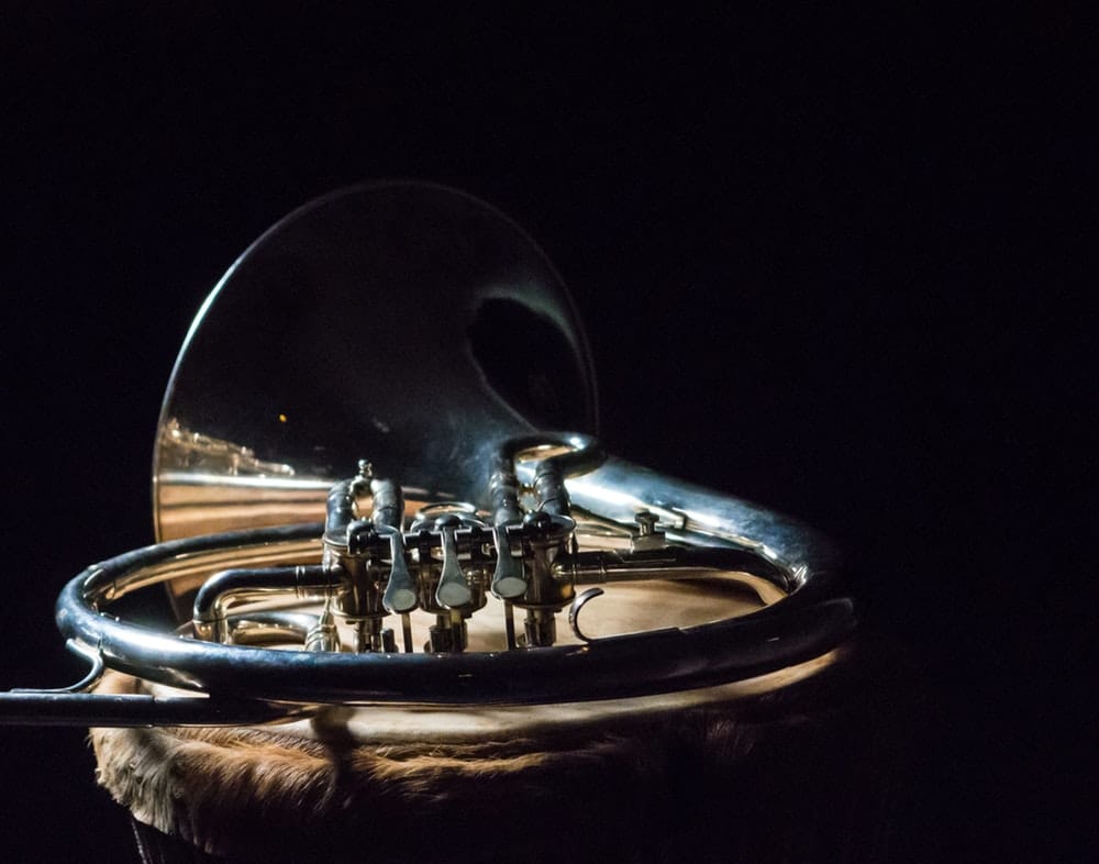 horn