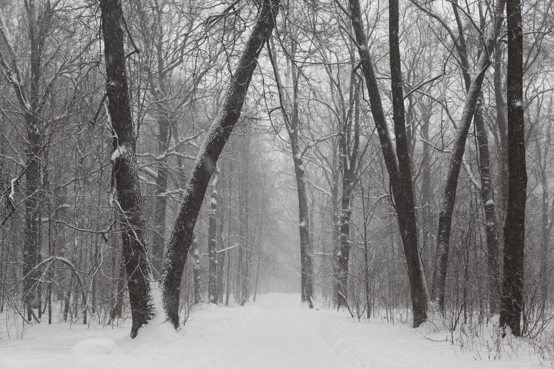 Snowy park