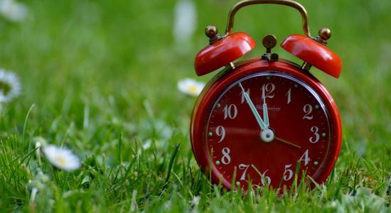 alarm clock lying on the grass
