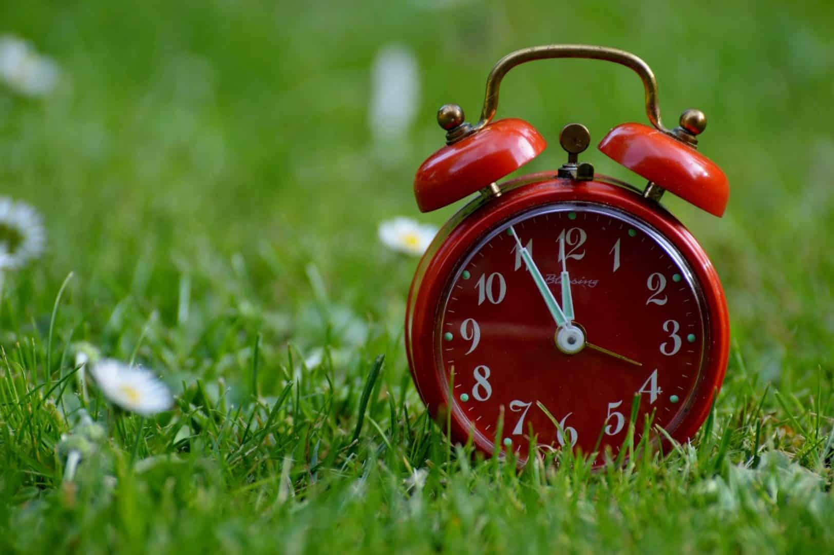 alarm clock lying on the grass