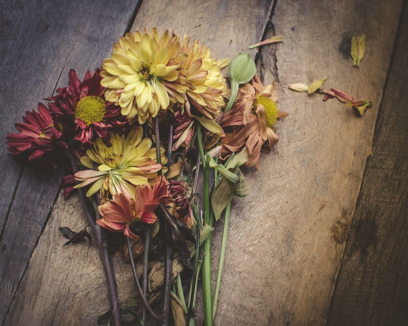 withered flowers