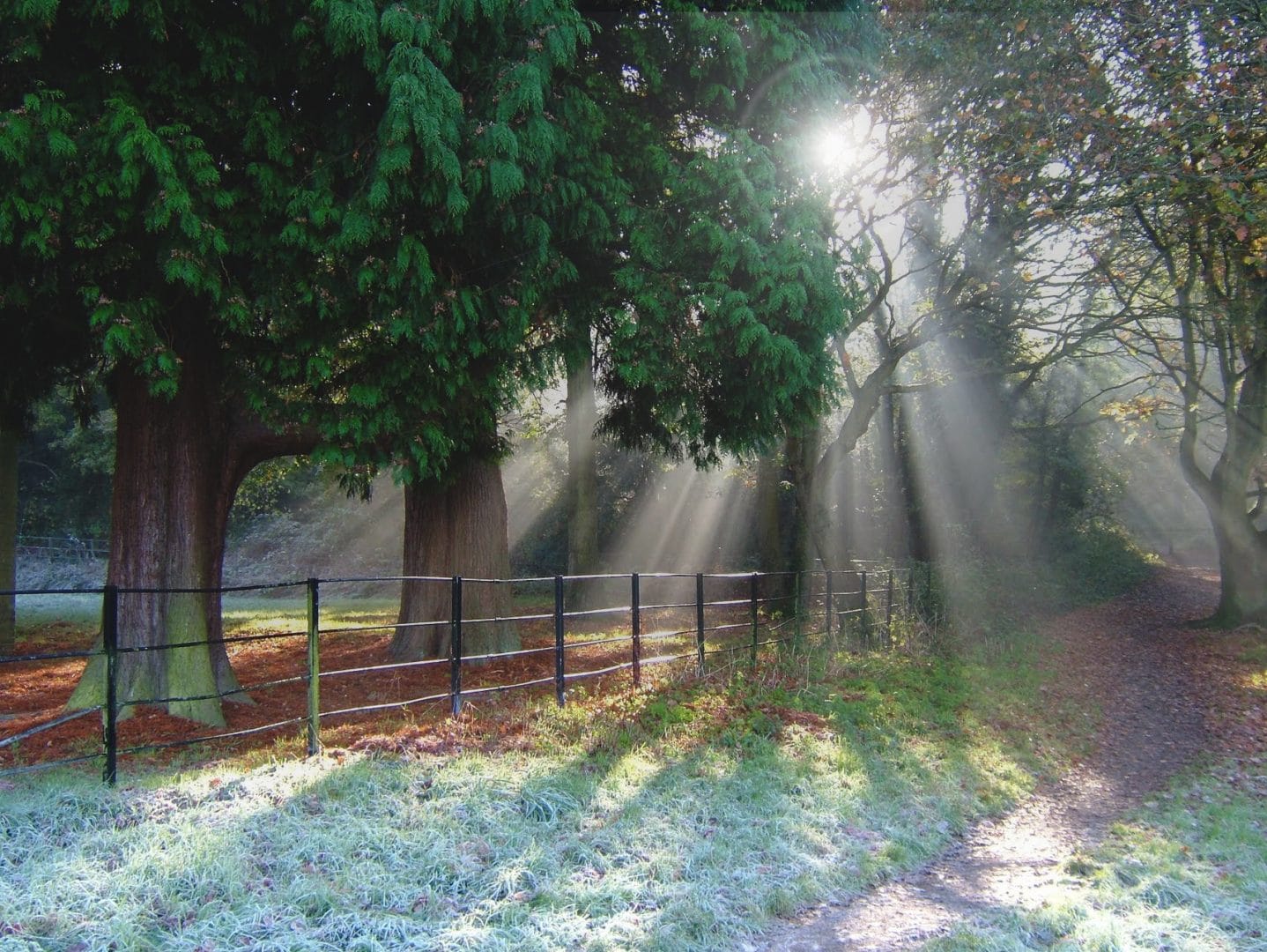right of ligth