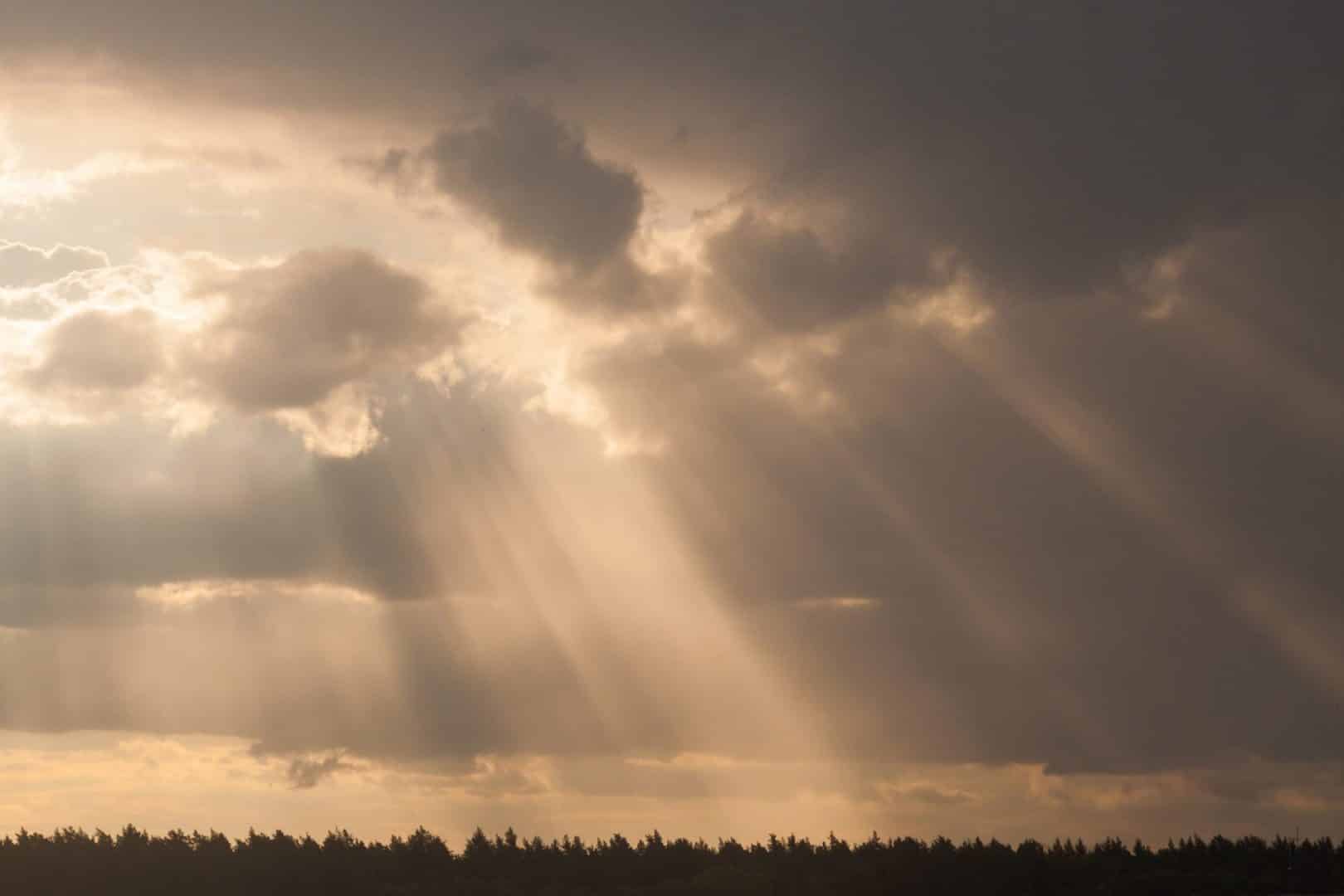 rays of sun