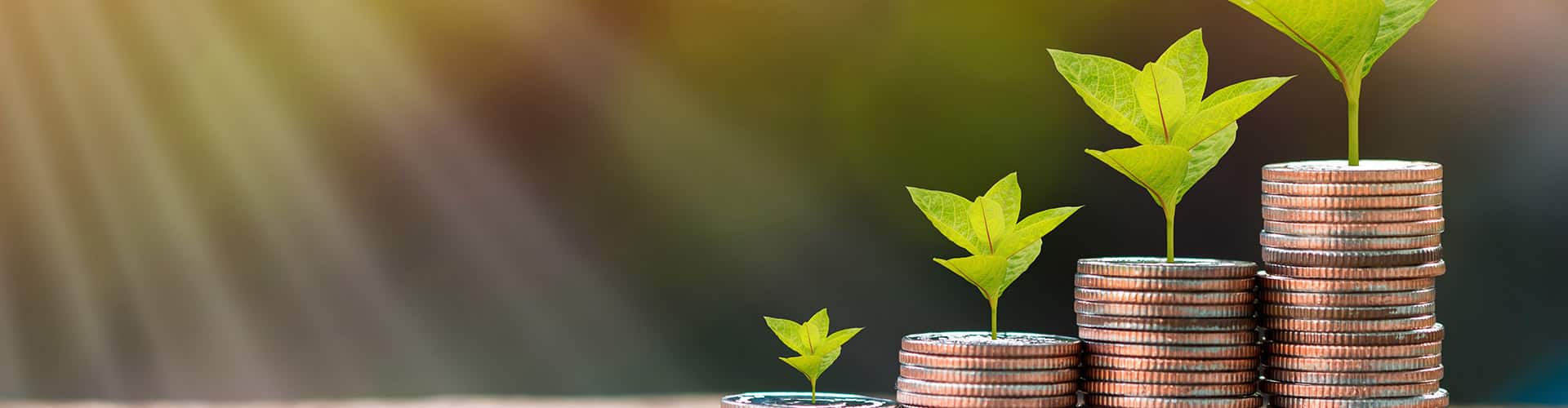 coin plant